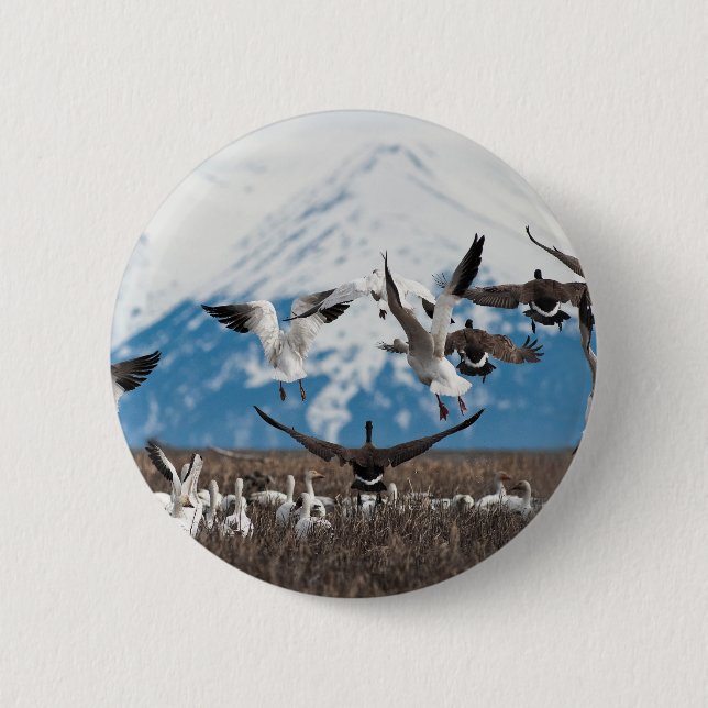 Bóton Redondo 5.08cm Scattering Geese (Frente)