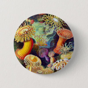 Bóton Redondo 5.08cm Sea Anemones Ernst Haeckel Belas Artes