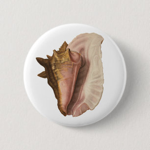 Bóton Redondo 5.08cm Seashell Shell do Conch da rainha do vintage,
