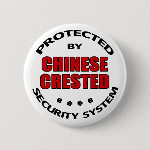Bóton Redondo 5.08cm Segurança de Cães Detidos Chineses
