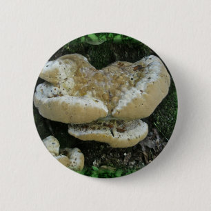 Bóton Redondo 5.08cm Shelf Fungi em Stump