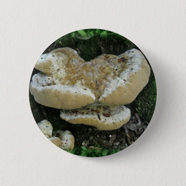 Bóton Redondo 5.08cm Shelf Fungi em Stump (Frente)