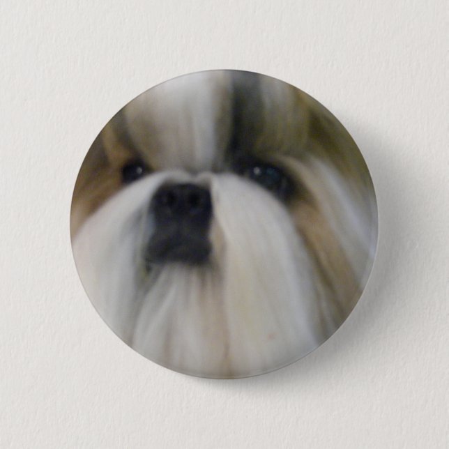 Bóton Redondo 5.08cm Shih Tzu (Frente)