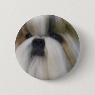 Bóton Redondo 5.08cm Shih Tzu