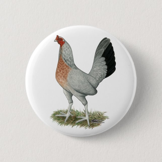 Bóton Redondo 5.08cm Silver Ducking Game Hen (Frente)