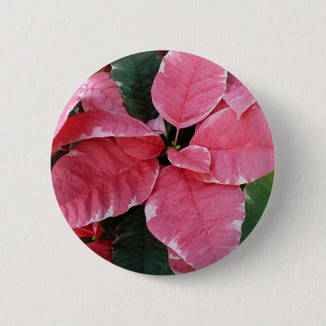 Bóton Redondo 5.08cm Silver Star Marble Poinsettias Feriado Rosa Floral (Frente)