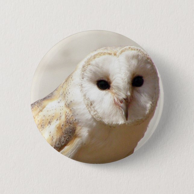 Bóton Redondo 5.08cm Snowy Barn Owl Pin (Frente)