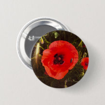 Sonho Floral de Papoula – Prado de Fantasia Botâni