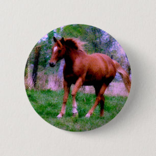 Bóton Redondo 5.08cm Sonhos primavera, Sorrel Trotting