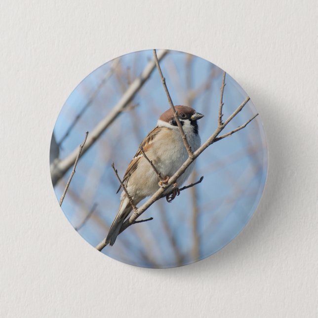 Bóton Redondo 5.08cm Sparrow (Frente)