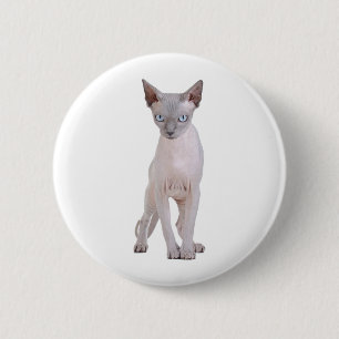 Bóton Redondo 5.08cm Sphynx cat