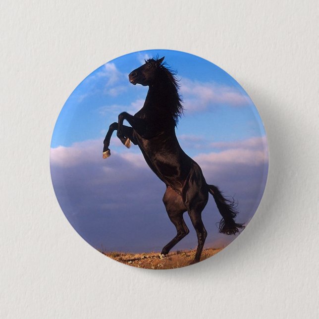 Bóton Redondo 5.08cm Stallion Negro (Frente)