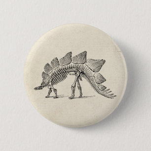 Bóton Redondo 5.08cm Stegossauro Dinossauro Esqueleto Fóssil