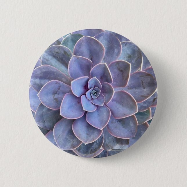 Bóton Redondo 5.08cm Suculentos De Echeveria Roxo (Frente)