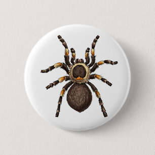 Bóton Redondo 5.08cm Tarantula