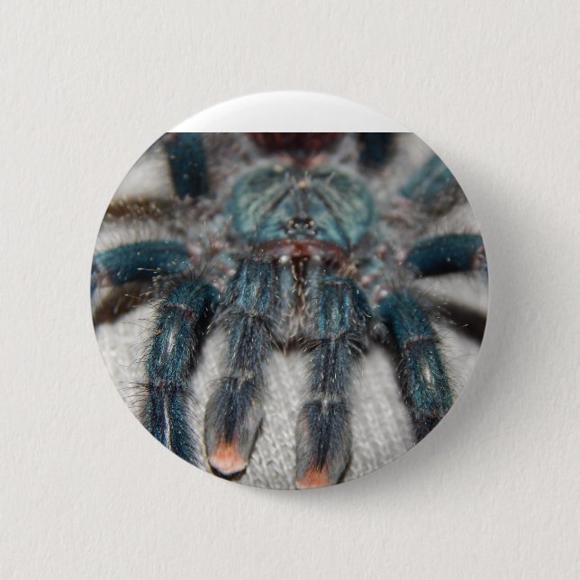 Bóton Redondo 5.08cm tarântula azul (Frente)