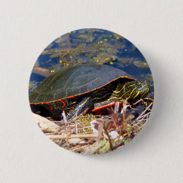 Bóton Redondo 5.08cm Tartaruga pintada (Chrysemys picta) 3