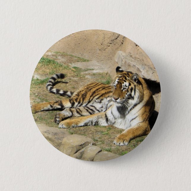 Bóton Redondo 5.08cm Tigre de dormir (Frente)