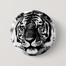 Tigre preto e branco