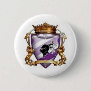 Bóton Redondo 5.08cm timisoara do poli do emblema
