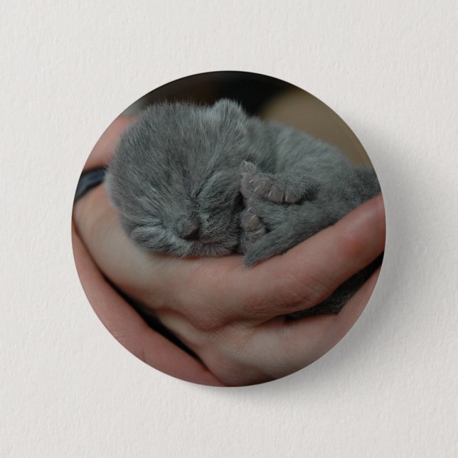 Bóton Redondo 5.08cm Tiny Baby Blue Kitten (Frente)