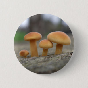 Bóton Redondo 5.08cm Tiny Toadstools Macro Button