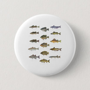 Bóton Redondo 5.08cm Tipos De Espécies De Peixes De Água Doce Biologia