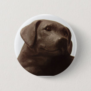 Bóton Redondo 5.08cm Todo mundo ama um Labrador Retriever
