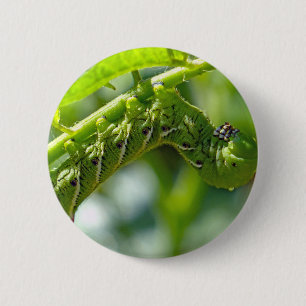Bóton Redondo 5.08cm Tomato Hornworm