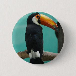 Bóton Redondo 5.08cm Toucan