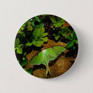 Bóton Redondo 5.08cm Traça de Luna verde gigante