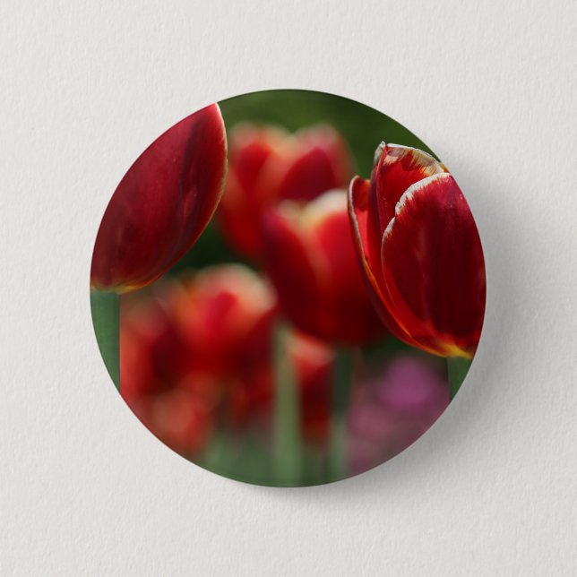 Bóton Redondo 5.08cm Tulipas (Frente)