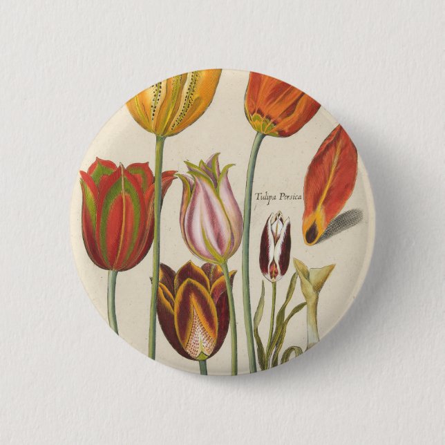 Bóton Redondo 5.08cm Tulipas (Frente)