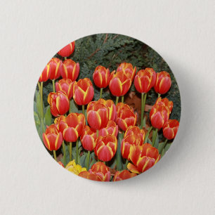 Bóton Redondo 5.08cm Tulipas Bloomin!