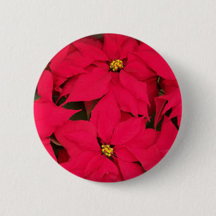 Bóton Redondo 5.08cm Um monte de Poinsettias de Natal de Cor Brilhante