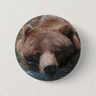 Bóton Redondo 5.08cm Urso Cinzento