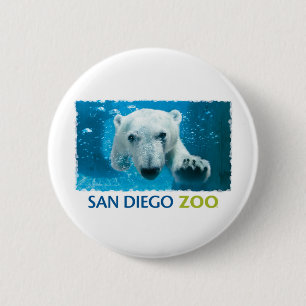 Bóton Redondo 5.08cm Urso polar do jardim zoológico de San Diego