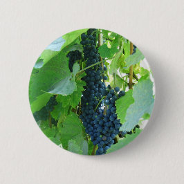 Bóton Redondo 5.08cm Uvas