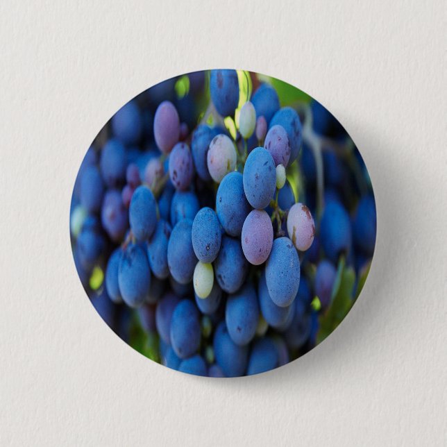 Bóton Redondo 5.08cm Uvas (Frente)