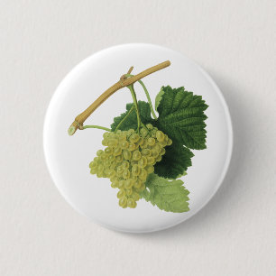 Bóton Redondo 5.08cm Uvas Brancas para Vinho na Videira, Frutas Aliment