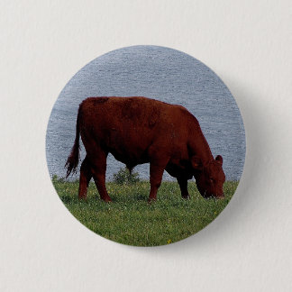 Bóton Redondo 5.08cm vaca sul de Devon no litoral remoto