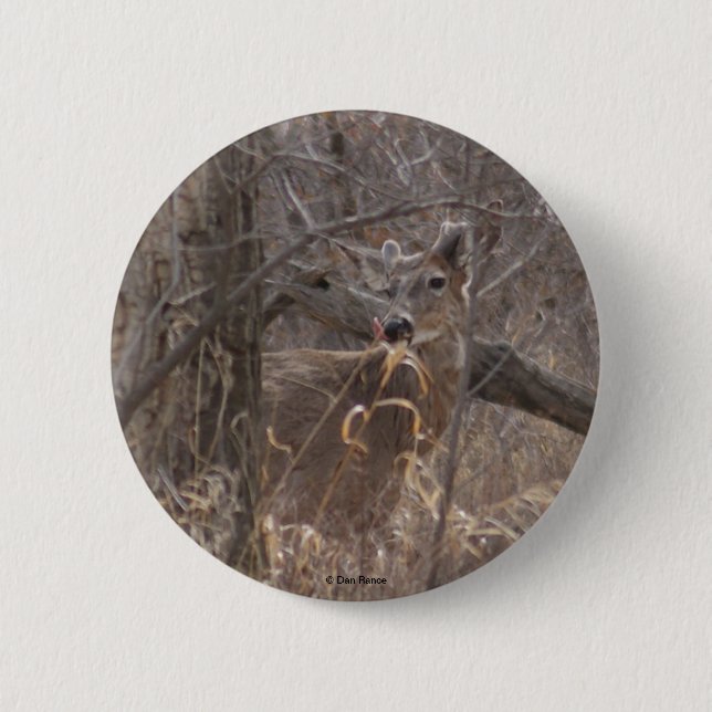 Bóton Redondo 5.08cm Veado branco D2 (Frente)