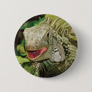 Bóton Redondo 5.08cm Verde da iguana