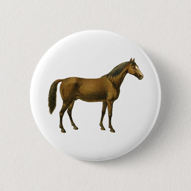 Bóton Redondo 5.08cm Vintage Horse (Frente)