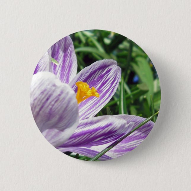 Bóton Redondo 5.08cm Violet primavera crocus (Frente)