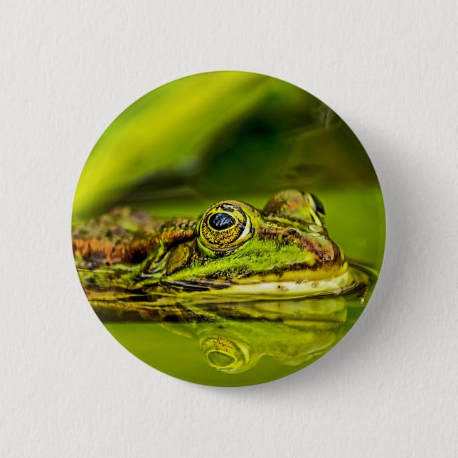 Bóton Redondo 5.08cm water frog (Frente)