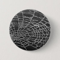 Web Spider