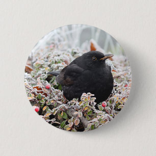 Bóton Redondo 5.08cm Winter Blackbird
