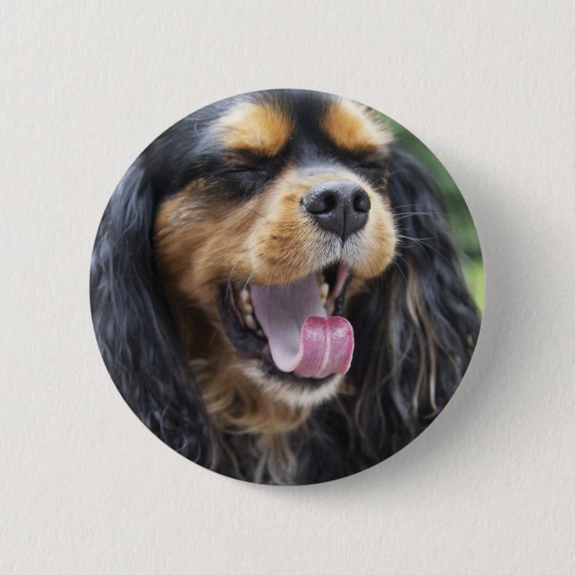 Bóton Redondo 5.08cm Yawning Cavalier King Charles Spaniel (Frente)