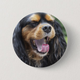 Bóton Redondo 5.08cm Yawning Cavalier King Charles Spaniel